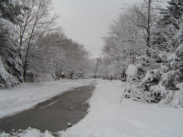 Snowy Picture 1