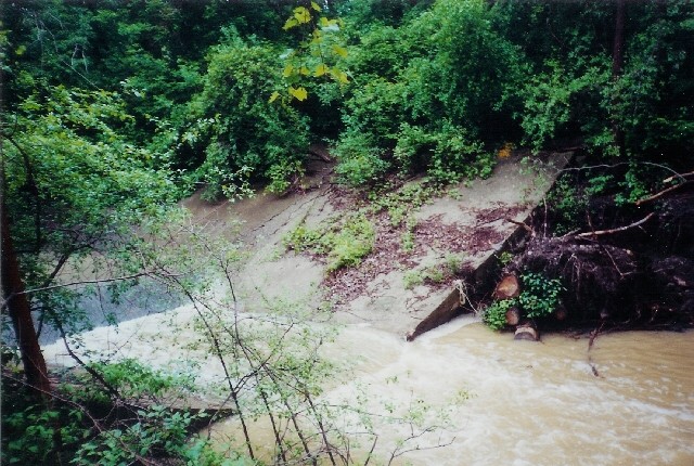 creek picture