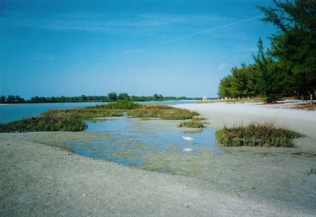 beach picture